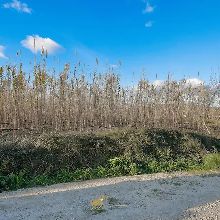 Duplex Confort Avec Terrasse A 500m Des Plages