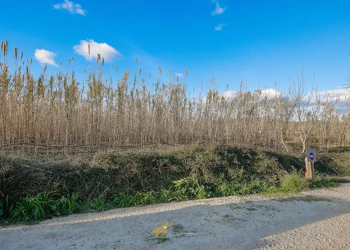 Duplex Confort Avec Terrasse A 500m Des Plages